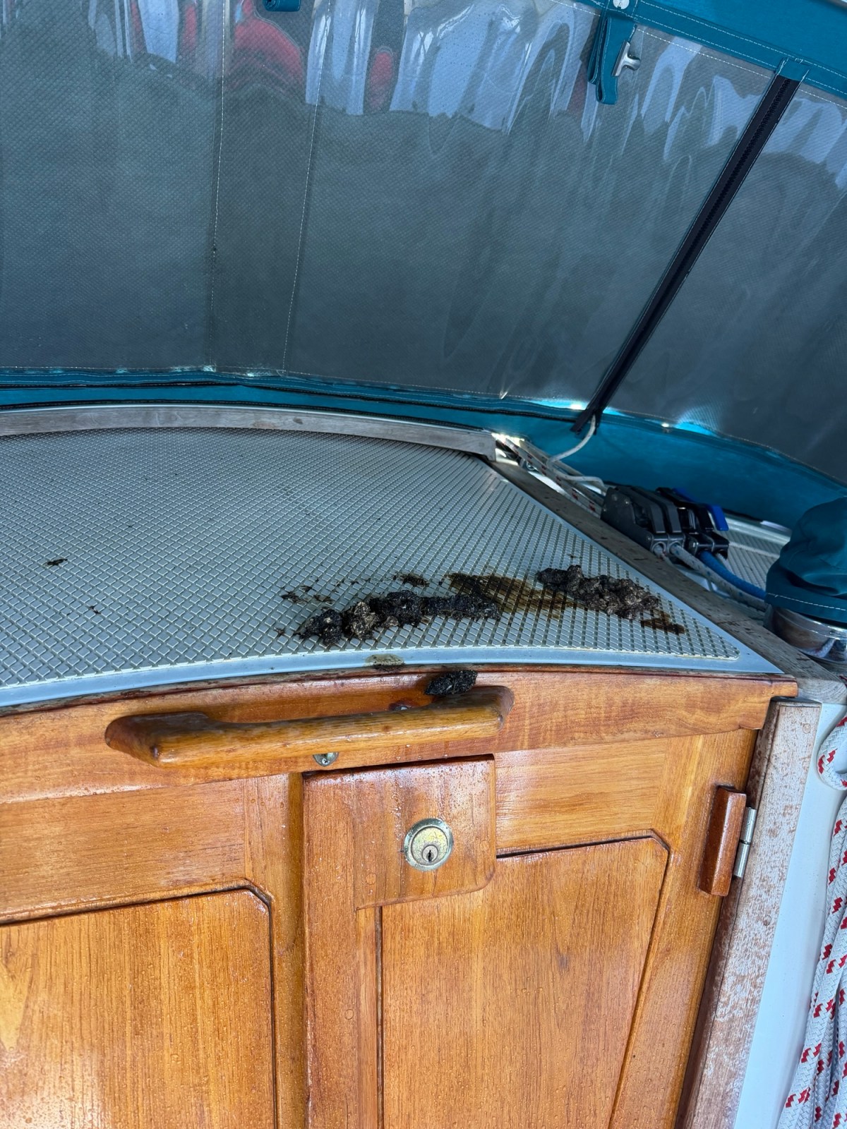 It smells like&nbsp;SeaWorld!